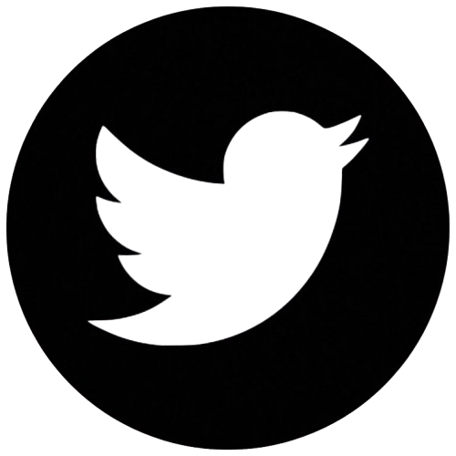 X (Twitter)